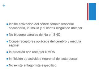 + 
 Inhibe activación del córtex somatosensorial 
secundario, la ínsula y el córtex cingulado anterior 
 No bloquea canales de Na en SNC 
 Ocupa receptores opiáceos del cerebro y médula 
espinal 
 Interacción con receptor NMDA 
 Inhibición de actividad neuronal del asta dorsal 
 No existe antagonista específico 
 
