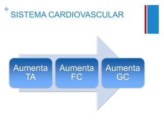 + 
SISTEMA CARDIOVASCULAR 
Aumenta 
TA 
Aumenta 
FC 
Aumenta 
GC 
 