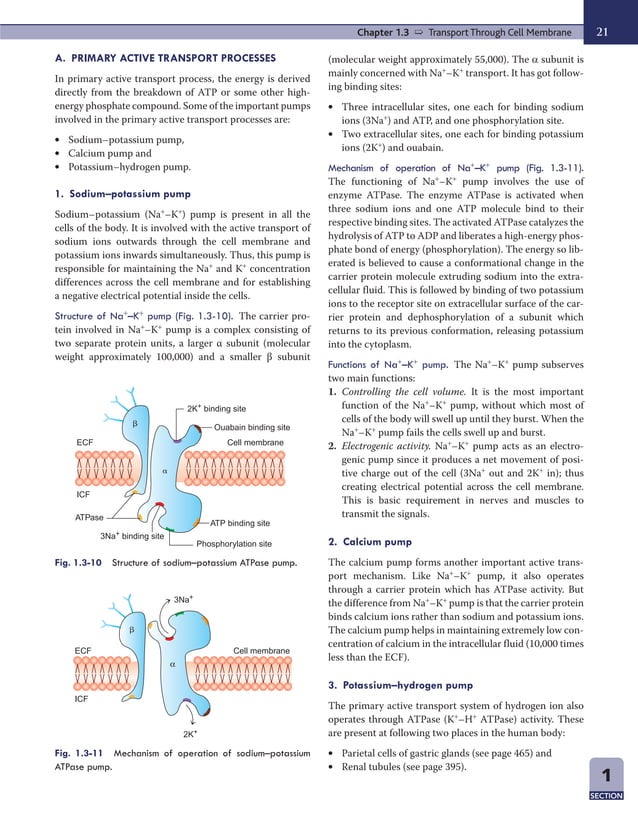 Physiology visual data 2