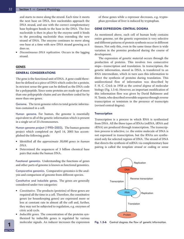 physiology for medical student (pdf form ) | PDF