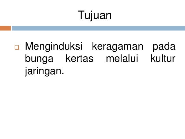 Induksi keragaman somaklonal bunga kertas zinnia sp