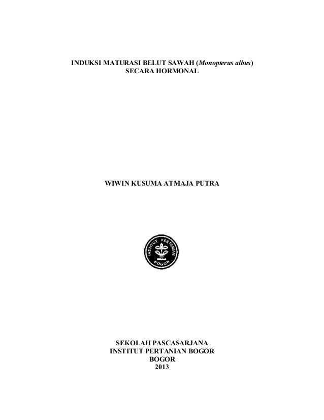 Induksi Maturasi Belut Sawah Secara Hormonal