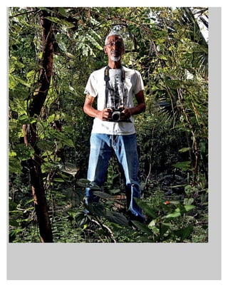 Indulge december 2014 : january 2015