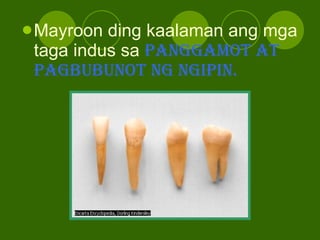 Mayroon ding kaalaman ang mga taga indus sa  panggamot at pagbubunot ng ngipin. 