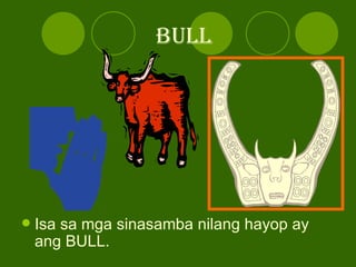 BULL <ul><li>Isa sa mga sinasamba nilang hayop ay ang BULL. </li></ul>