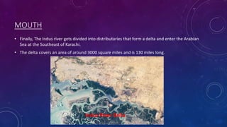 MOUTH
• Finally, The Indus river gets divided into distributaries that form a delta and enter the Arabian
Sea at the Southeast of Karachi.
• The delta covers an area of around 3000 square miles and is 130 miles long.
Indus River Delta
 