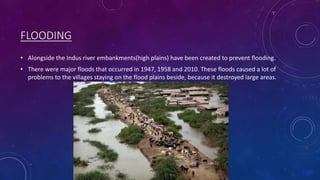 FLOODING
• Alongside the Indus river embankments(high plains) have been created to prevent flooding.
• There were major floods that occurred in 1947, 1958 and 2010. These floods caused a lot of
problems to the villages staying on the flood plains beside, because it destroyed large areas.
 