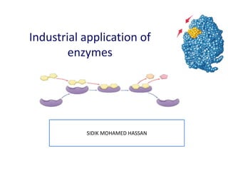 Industrial application of
enzymes
SIDIK MOHAMED HASSAN
 