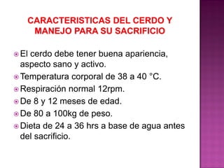  El cerdo debe tener buena apariencia,
aspecto sano y activo.
 Temperatura corporal de 38 a 40 °C.
 Respiración normal 12rpm.
 De 8 y 12 meses de edad.
 De 80 a 100kg de peso.
 Dieta de 24 a 36 hrs a base de agua antes
del sacrificio.
 