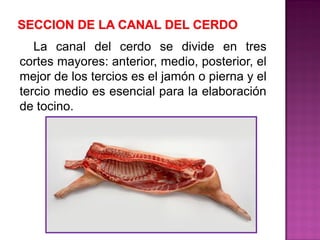 La canal del cerdo se divide en tres
cortes mayores: anterior, medio, posterior, el
mejor de los tercios es el jamón o pierna y el
tercio medio es esencial para la elaboración
de tocino.
 