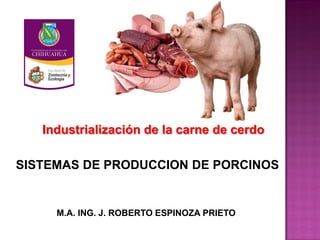 Industrialización de la carne de cerdo
M.A. ING. J. ROBERTO ESPINOZA PRIETO
SISTEMAS DE PRODUCCION DE PORCINOS
 