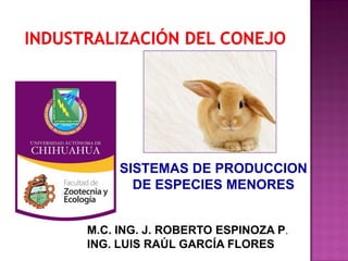 SISTEMAS DE PRODUCCION
DE ESPECIES MENORES
M.C. ING. J. ROBERTO ESPINOZA P.
ING. LUIS RAÚL GARCÍA FLORES
 
