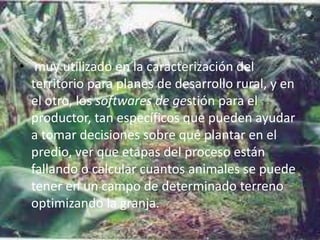 • muy utilizado en la caracterización del
  territorio para planes de desarrollo rural, y en
  el otro, los softwares de gestión para el
  productor, tan específicos que pueden ayudar
  a tomar decisiones sobre qué plantar en el
  predio, ver que etapas del proceso están
  fallando o calcular cuantos animales se puede
  tener en un campo de determinado terreno
  optimizando la granja.
 