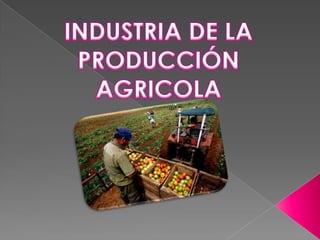 producción agricola