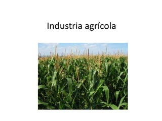 Industria agrícola
 