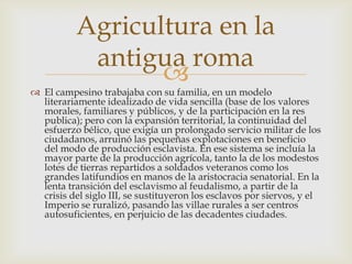 Agricultura en la
            antigua roma
                  
 El campesino trabajaba con su familia, en un modelo
  literariamente idealizado de vida sencilla (base de los valores
  morales, familiares y públicos, y de la participación en la res
  publica); pero con la expansión territorial, la continuidad del
  esfuerzo bélico, que exigía un prolongado servicio militar de los
  ciudadanos, arruinó las pequeñas explotaciones en beneficio
  del modo de producción esclavista. En ese sistema se incluía la
  mayor parte de la producción agrícola, tanto la de los modestos
  lotes de tierras repartidos a soldados veteranos como los
  grandes latifundios en manos de la aristocracia senatorial. En la
  lenta transición del esclavismo al feudalismo, a partir de la
  crisis del siglo III, se sustituyeron los esclavos por siervos, y el
  Imperio se ruralizó, pasando las villae rurales a ser centros
  autosuficientes, en perjuicio de las decadentes ciudades.
 
