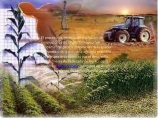 El proceso de generación y difusión de
innovaciones de origen biológico fue
fundamental para la ampliación del espacio
económico de la industria agrícola brasileña.
Las perspectivas abiertas por el desarrollo,
desde finales de la década de los 70, de la
moderna biotecnología, permiten un mejor
aprovechamiento de las ventajas naturales del
país, transformándolas en ventajas
competitivas.
 