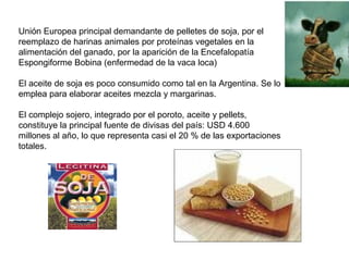 Unión Europea principal demandante de pelletes de soja, por el
reemplazo de harinas animales por proteínas vegetales en la
alimentación del ganado, por la aparición de la Encefalopatía
Espongiforme Bobina (enfermedad de la vaca loca)
El aceite de soja es poco consumido como tal en la Argentina. Se lo
emplea para elaborar aceites mezcla y margarinas.
El complejo sojero, integrado por el poroto, aceite y pellets,
constituye la principal fuente de divisas del país: USD 4.600
millones al año, lo que representa casi el 20 % de las exportaciones
totales.
 