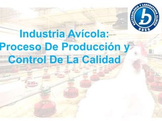 Industria Avícola:
Proceso De Producción y
Control De La Calidad
 