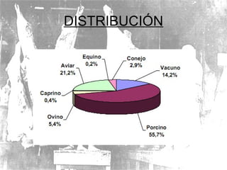 DISTRIBUCIÓN 