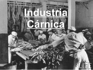 Industria Cárnica 