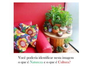 Você poderia identificar nesta imagem
o que é Natureza e o que é Cultura?
 