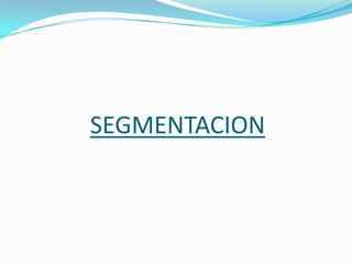 SEGMENTACION
 