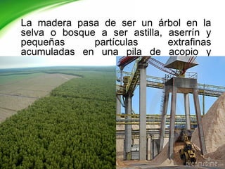 La madera pasa de ser un árbol en la
selva o bosque a ser astilla, aserrín y
pequeñas partículas extrafinas
acumuladas en una pila de acopio y
clasificación.
 