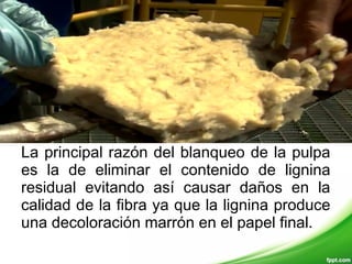 La principal razón del blanqueo de la pulpa
es la de eliminar el contenido de lignina
residual evitando así causar daños en la
calidad de la fibra ya que la lignina produce
una decoloración marrón en el papel final.
 