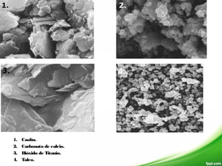 1. Caolín.
2. Carbonato de calcio.
3. Dióxido de Titanio.
4. Talco.
 