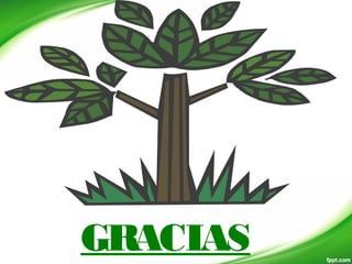 GRACIAS
 
