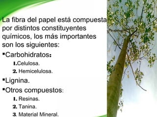 La fibra del papel está compuesta
por distintos constituyentes
químicos, los más importantes
son los siguientes:
Carbohidratos:
1.Celulosa.
2. Hemicelulosa.
Lignina.
Otros compuestos:
1. Resinas.
2. Tanina.
3. Material Mineral.
 