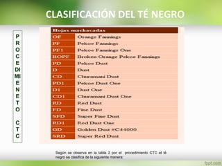CLASIFICACIÓN DEL TÉ NEGRO
Según se observa en la tabla 2 por el procedimiento CTC el té
negro se clasifica de la siguiente manera:
P
R
O
C
E
DI
MI
E
N
E
T
O
C
T
C
 