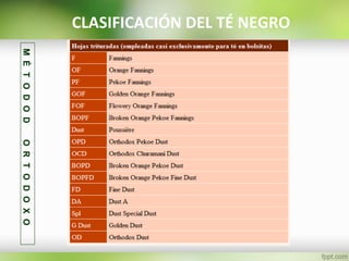 CLASIFICACIÓN DEL TÉ NEGROMÉTODODORTODOXO
 