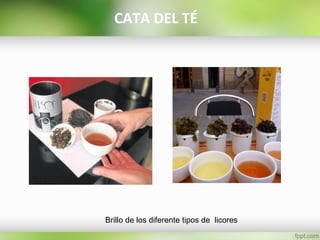 Brillo de los diferente tipos de licores
CATA DEL TÉ
 