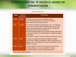 CLASIFICACIÓN DEL TÉ SEGÚN EL GRADO DE
FERMENTACIÓN
AS HOJAS
 