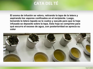 CATA DEL TÉ
El aroma de infusión se valora, retirando la tapa de la tetera y
aspirando los vapores confinados en el recipiente. Luego,
tomando la tetera tapada se la vuelca y sacude para que la hoja
infusada se deposite sobre la tapa. Esta hoja se comprime para
qué escurra el exceso de agua, con posterioridad se aprecia su
color
 