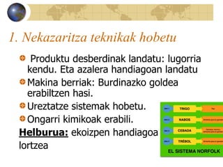1. Nekazaritza teknikak hobetu
Produktu desberdinak landatu: lugorria
kendu. Eta azalera handiagoan landatu
Makina berriak: Burdinazko goldea
erabiltzen hasi.
Ureztatze sistemak hobetu.
Ongarri kimikoak erabili.
Helburua: ekoizpen handiagoa
lortzea
 