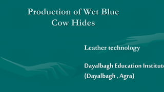 Production of Wet Blue
Cow Hides
Leather technology
Dayalbagh Education Institute
(Dayalbagh , Agra)
 