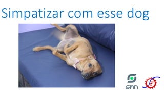 Simpatizar com esse dog
 