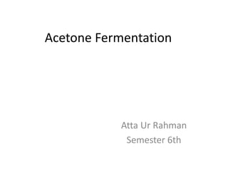 Acetone Fermentation
Atta Ur Rahman
Semester 6th
 