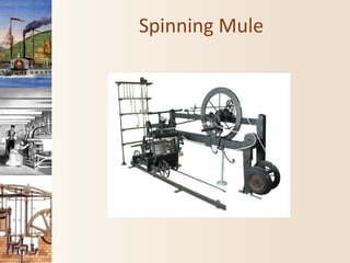 Spinning Mule
 