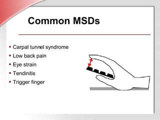 Common MSDs Carpal tunnel syndrome Low back pain Eye strain Tendinitis Trigger finger 