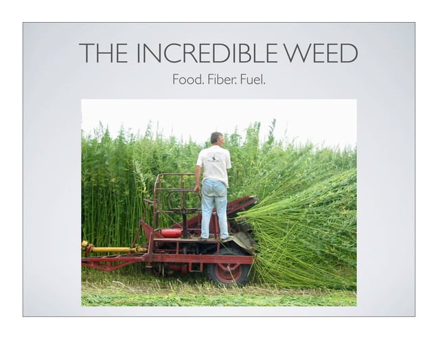 industrial-hemp-the-incredible-weed-ppt