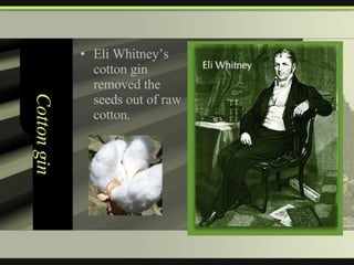 Cotton gin Eli Whitney’s cotton gin removed the seeds out of raw cotton. 