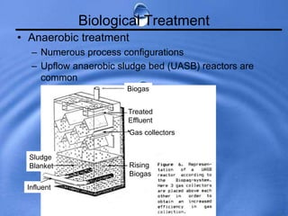 Biological Treatment
• Anaerobic treatment
– Numerous process configurations
– Upflow anaerobic sludge bed (UASB) reactors are
common
Biogas
Treated
Effluent
Gas collectors
Rising
Biogas
Influent
Sludge
Blanket
 