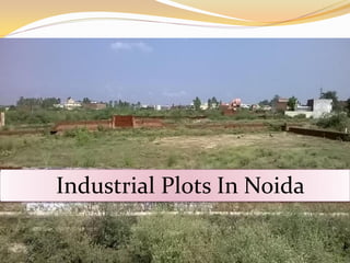 Industrial Plots In Noida
 