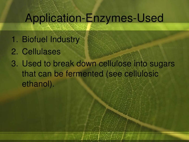 application of enzymes essay Enzyme essay: good collection of academic writing tips and free essay samples you can read it online here. application of enzymes essay Enzyme essay: good collection of academic writing tips and free essay samples you can read it online here.