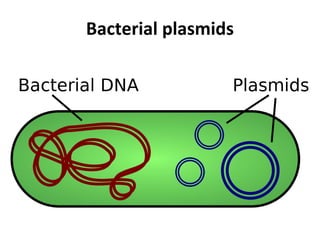 Industrial biochemistry 1 1 | PPT