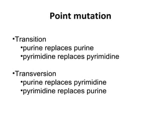 Industrial biochemistry 1 1 | PPT